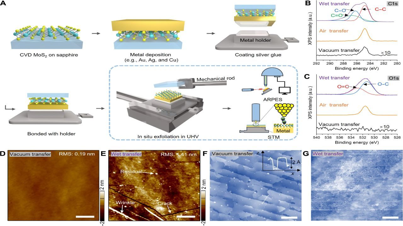 The Hidden Interface: Adhesion, Mechanical Locking, and Load Transfer